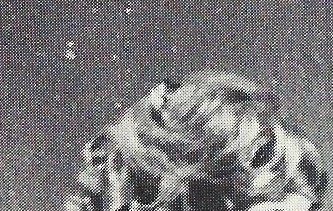 Orfeo ed Euredice (Gluck) galavoorstelling 8 maart 1970 met Lia Rottier, Rita Gorr en Hilda De Groote tijdens de directieperiode Karel Locufier.